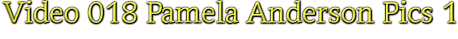 Pamela Anderson Text Image