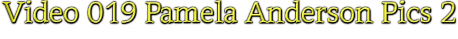 Pamela Anderson Text Image
